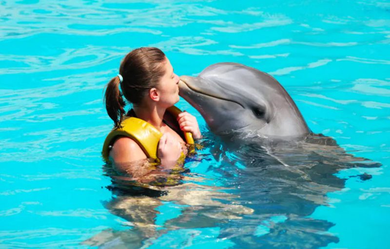 Excursions Booking Services